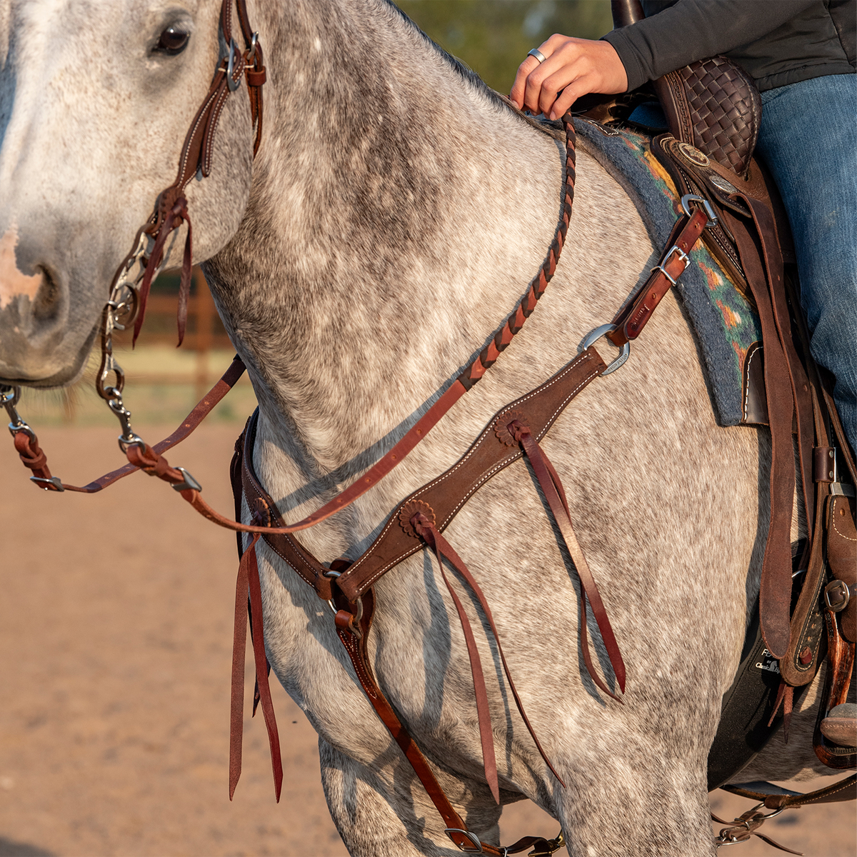 Western breast collar in chocolate roughout leather on a gray horse with a rider in the saddle, seen from the front quarter. Long latigo strings hang from the rosettes on both shoulder straps as the horse stands in an outdoor arena.