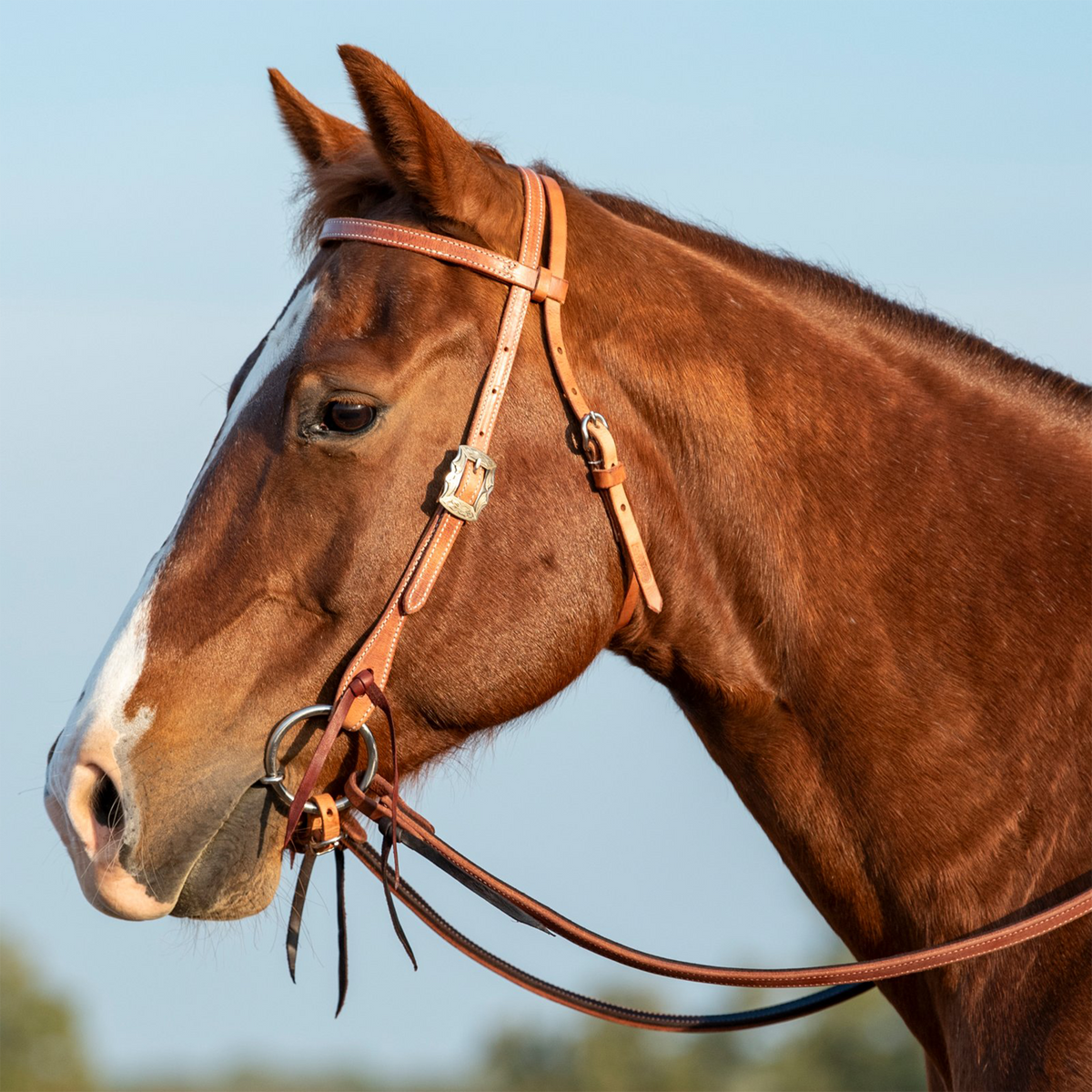 Sorrel horse in profile wearing a western browband headstall in harness leather against a blue sky. The stitched cheek carries a Prescott buckle and ends in latigo ties at the bit.