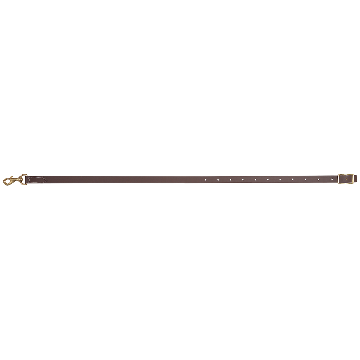 Brown BioThane tie-down strap laid out straight, seen from above. A snap sits at one end and a buckle at the other, with adjustment holes along the strap.