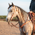 Gray horse with a braided mane and rider in an outdoor arena, wearing a western chestnut buckstitched headstall and a matching breastcollar. Latigo ties hold the bit below the cart buckle.