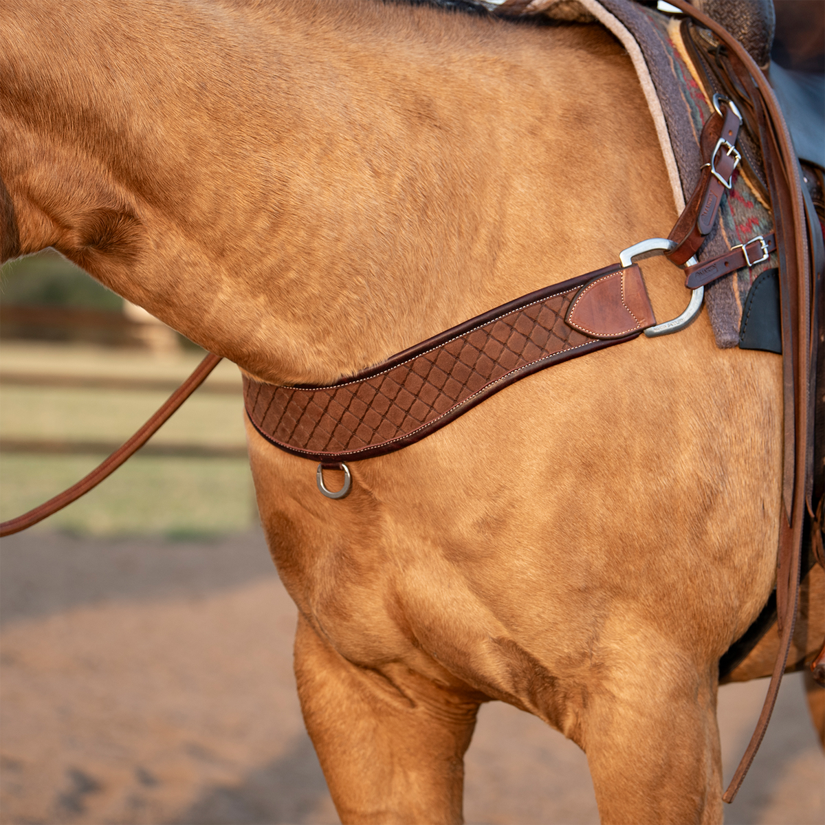 Western breast collar in chocolate leather with quilted tooling on a buckskin horse, seen from the side. The wide steer roper strap sits across the chest and connects to the saddle through a ring and buckled tug straps.