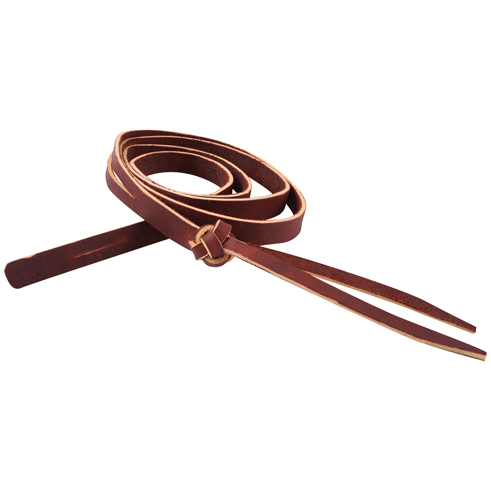 Latigo leather rope strap with button knot, coiled and seen from above. A woven button knot sits partway along the strap, which ends in split tails.