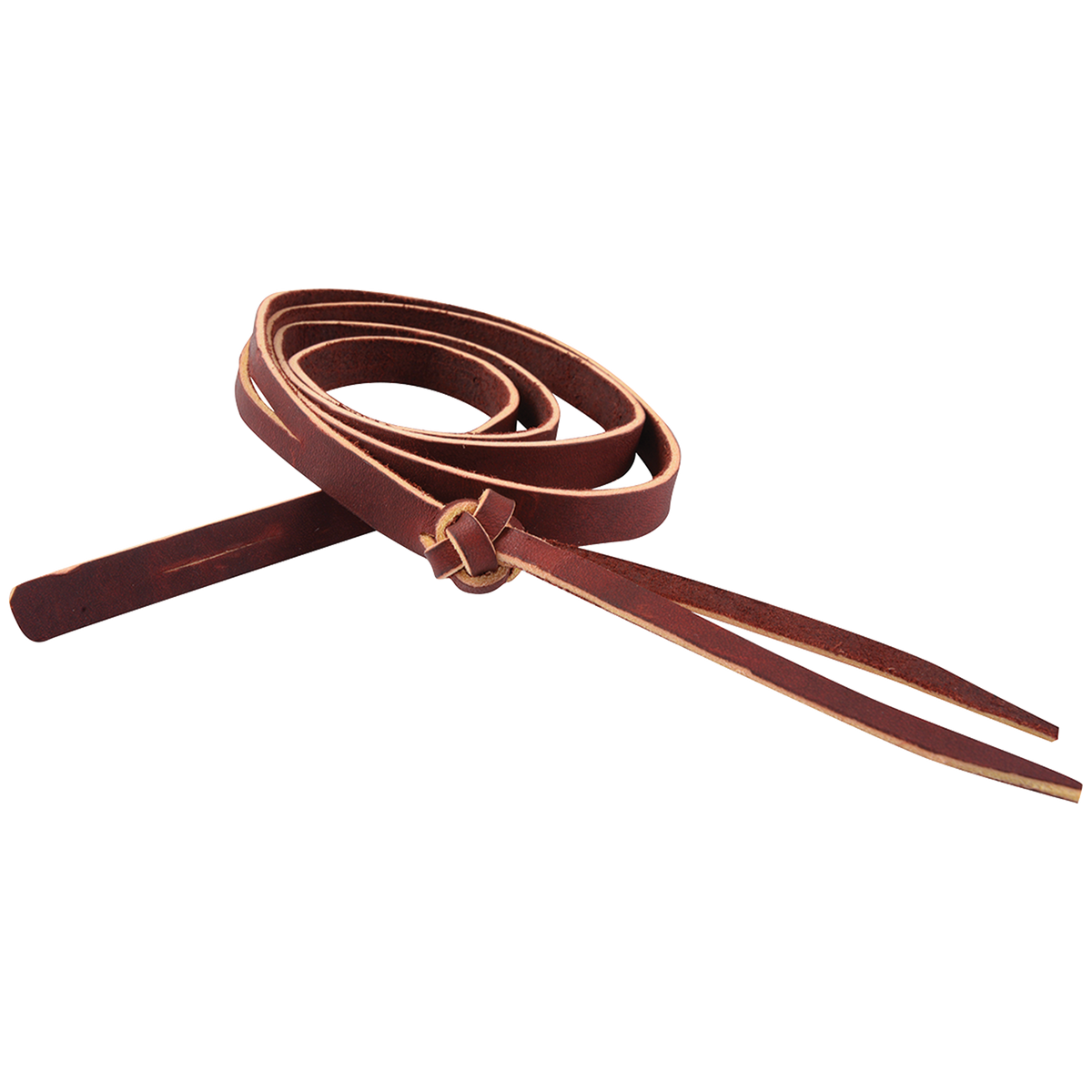 Latigo leather rope strap with button knot, coiled and seen from above. A woven button knot sits partway along the strap, which ends in split tails.