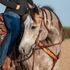 Western breast collar in natural tooled leather on a gray horse turning its head toward the camera, with a rider in the saddle. The floral tooling stands out against the chocolate-framed edges where the straps meet at the chest.