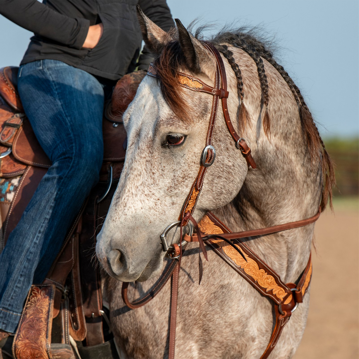 Western breast collar in natural tooled leather on a gray horse turning its head toward the camera, with a rider in the saddle. The floral tooling stands out against the chocolate-framed edges where the straps meet at the chest.