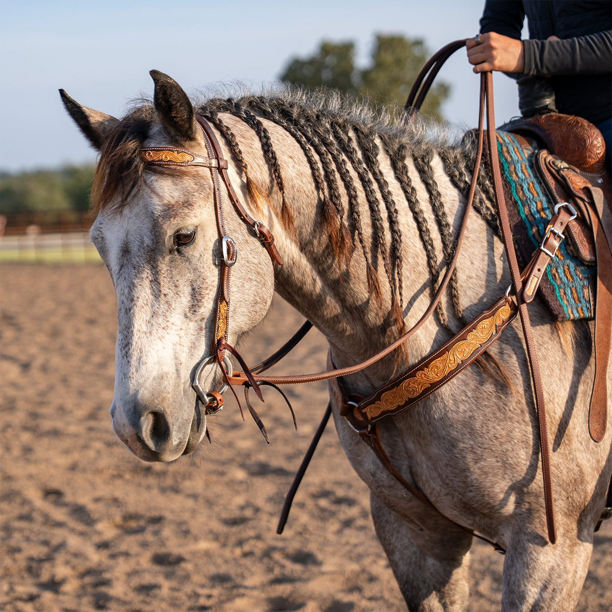 Western headstall in natural floral tooled leather on a gray horse with a braided mane, standing in a dirt arena. The rider holds the reins as the horse lowers its head.