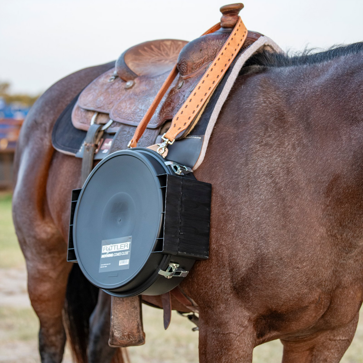 Horse standing saddled with a black rope can hanging from the saddle horn by a natural buckstitched rope can strap. The strap runs from the horn down to the can at the shoulder.