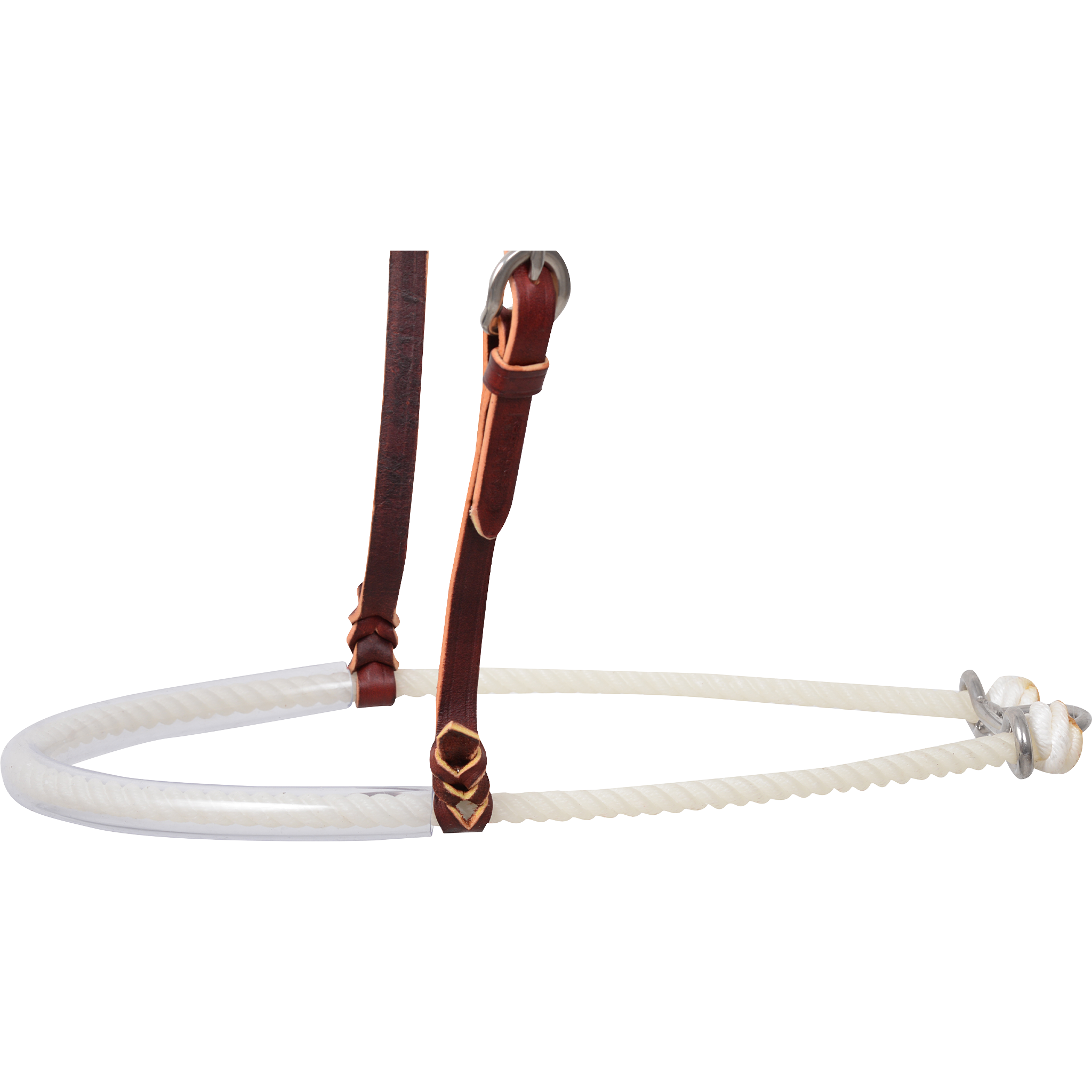 Clear tube nose piece of a single rope noseband, seen from the side. The rubber tubing covers the white rope between the leather hangers, with metal hardware at the back.