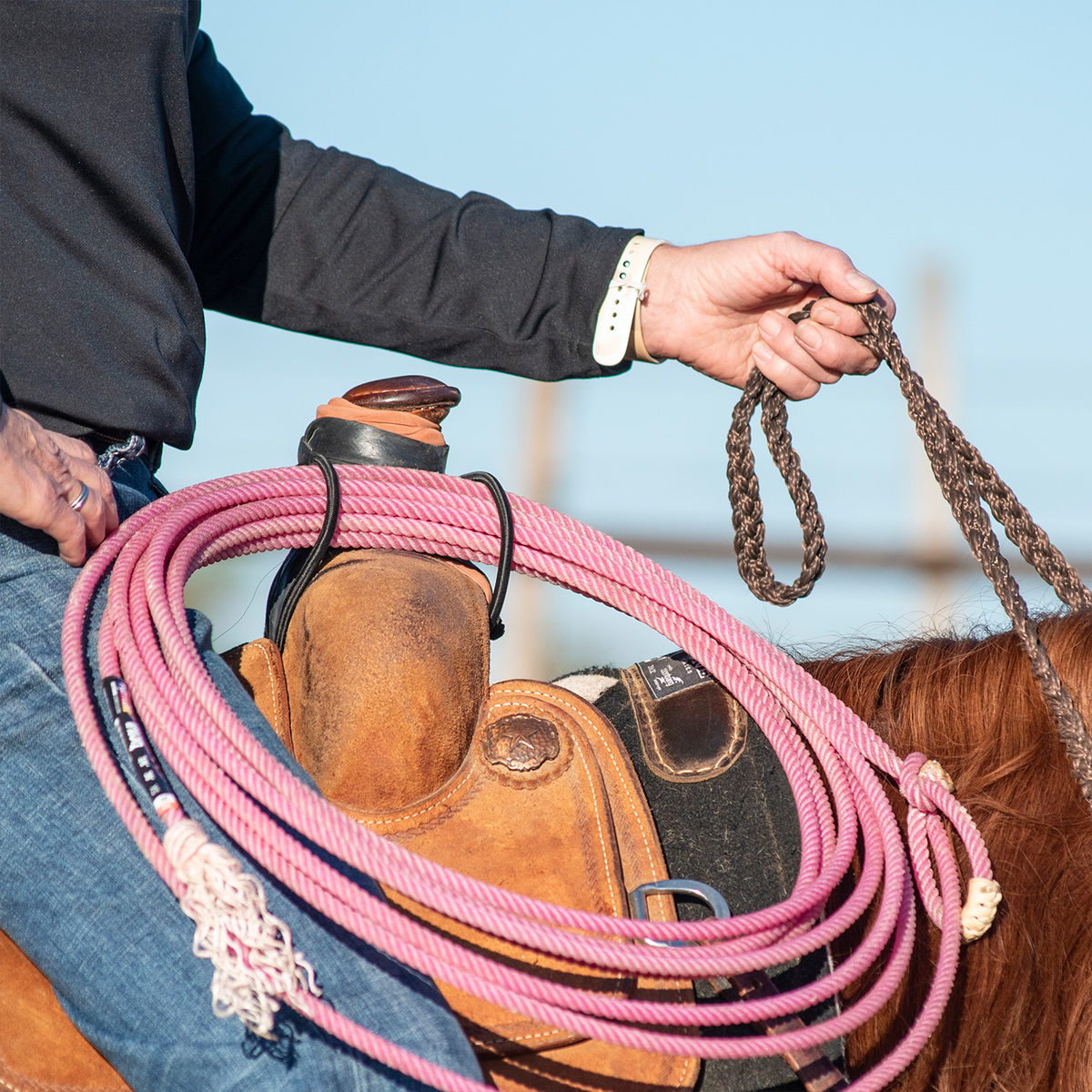 Rider on a sorrel horse holding braided reins, with a pink rope hung from the saddle by a bungee rope strap. The bungee loops over the coils at the swell.