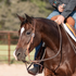 Western split ear headstall in natural harness leather on a bay horse, seen from the front quarter with a rider holding the reins. A cart buckle sits on the cheek beside the eye.