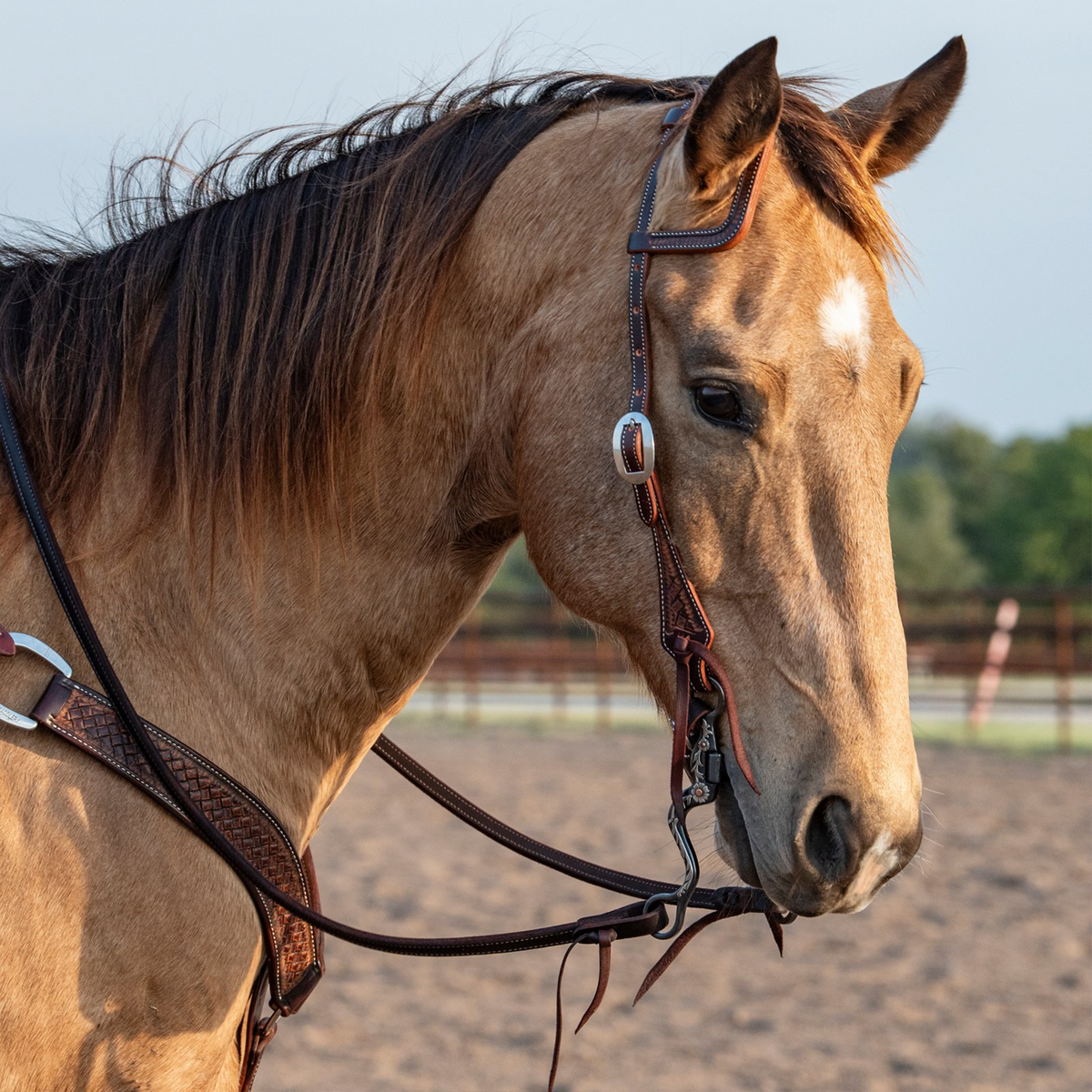 Western headstall in weathered antique leather on a buckskin horse seen in profile, with a tooled breastcollar at the shoulder. The slip ear sits behind one ear above a cart buckle on the cheek.