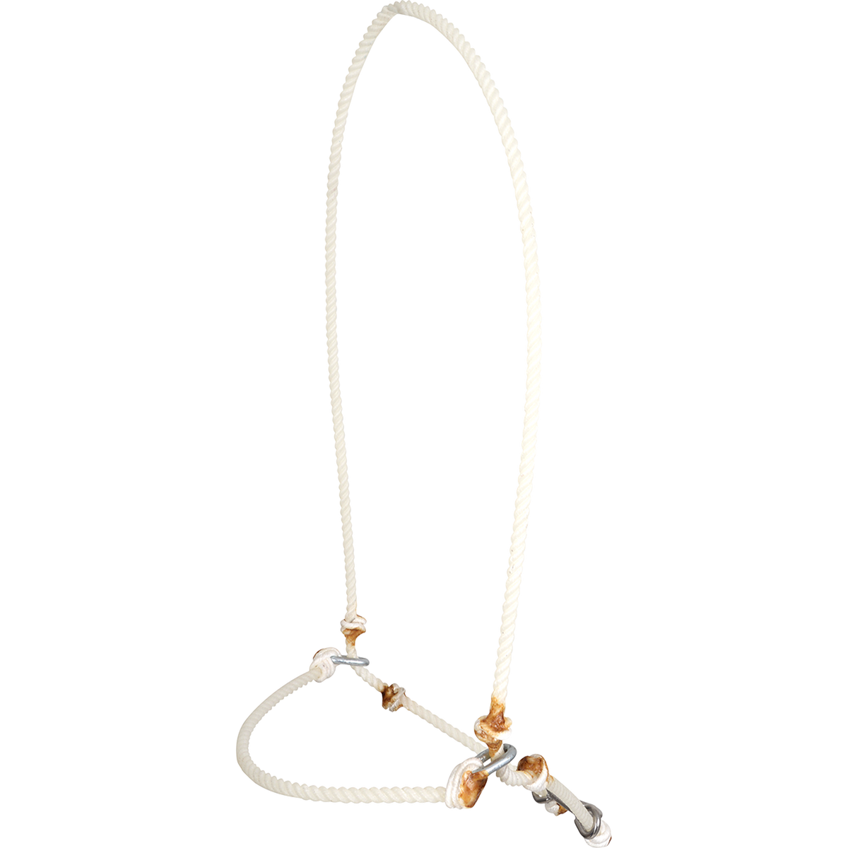 White rope headsetter tie-down, seen from the front quarter. The rope forms a poll loop and a noseband joined by knots and metal rings.