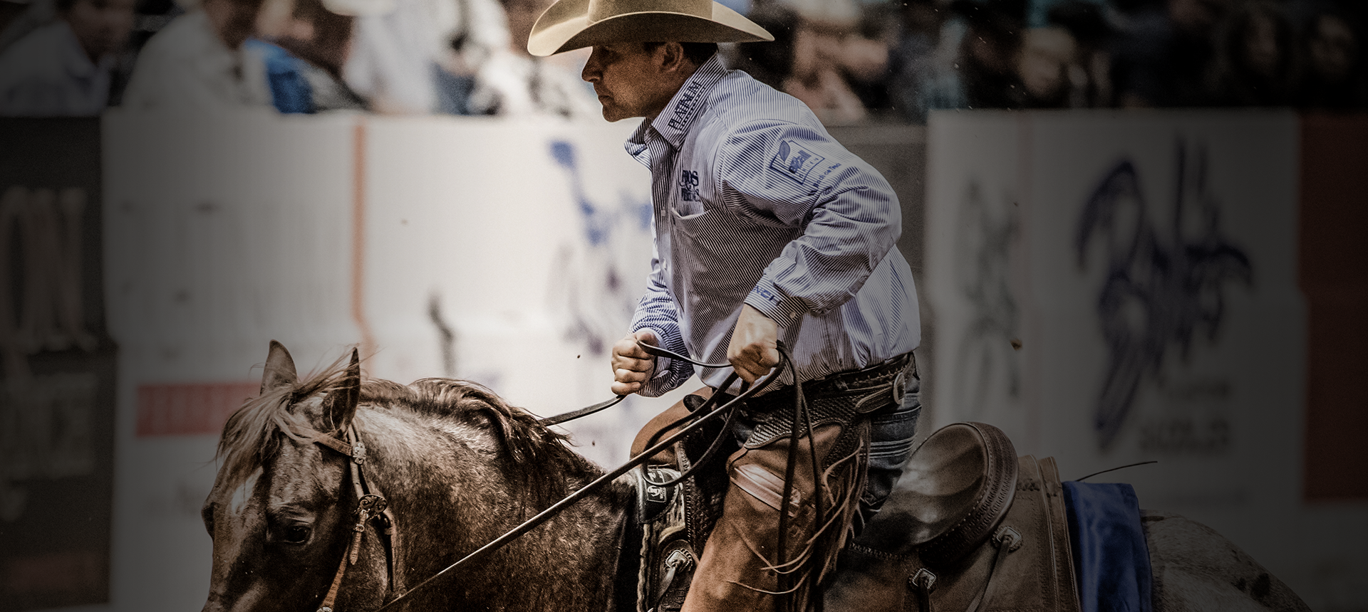 Martin Saddlery - Show Arena