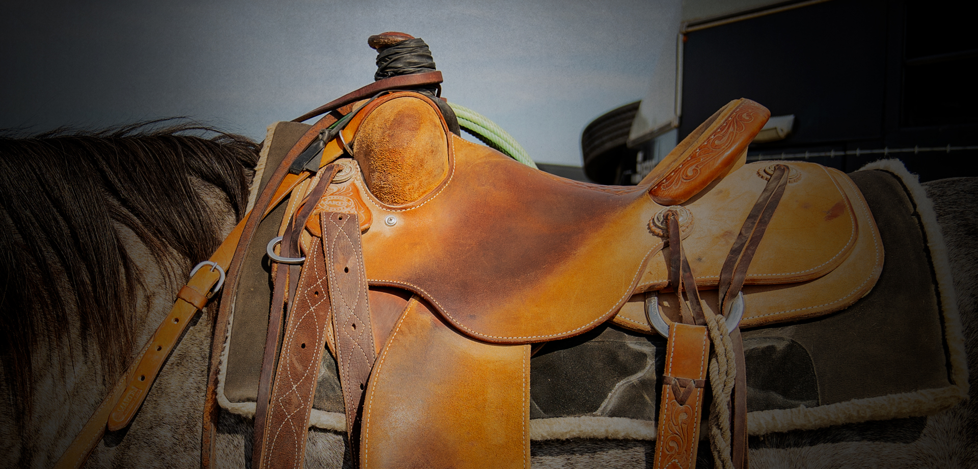 Martin Saddlery - Rancing